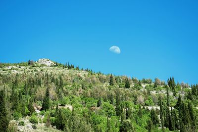 Scenic view of moon against clear blue sky