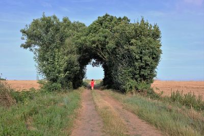 Dirt road passing through forest