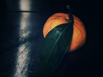 Close-up of orange on leaf