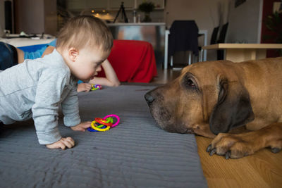 Girl playing with dog at home