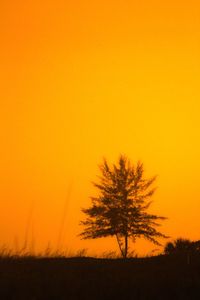 Silhouette tree on field against orange sky