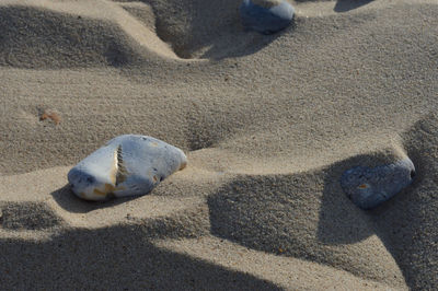 Sand dunes with rocks on a beach