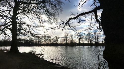 Bare trees by lake against sky