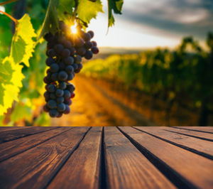 Close-up of grapes on wooden table