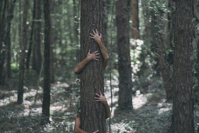 Men embracing tree trunk in forest