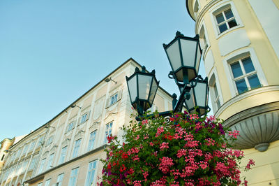 Low angle view of flowering plants by building against clear sky