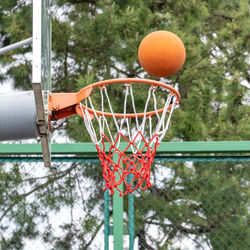 Close-up of basketball hoop against trees