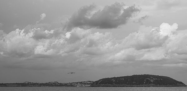 Birds flying over sea against sky