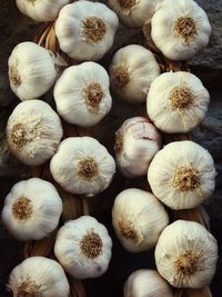 Full frame shot of pumpkins