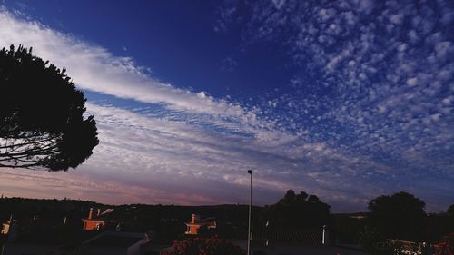 Low angle view of silhouette trees against sky