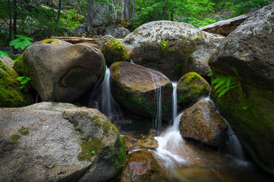 Scenic view of waterfall in forest