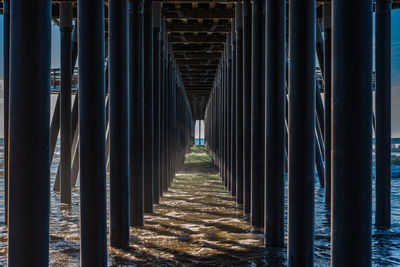 Wooden pylon of a pier 