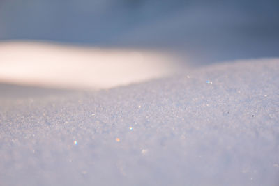 Close-up of snow on water surface