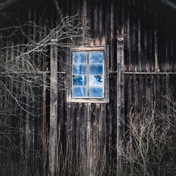 Close-up of bare tree against window