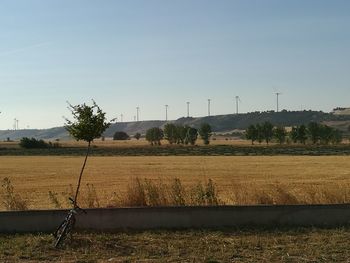 Scenic view of rural landscape