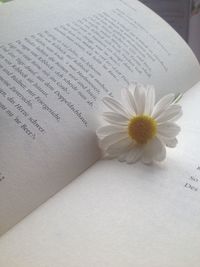 Close-up of white flower on book