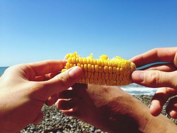 Close-up of cropped hand