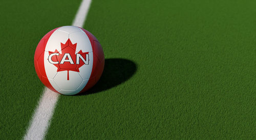 High angle view of soccer ball on green grass