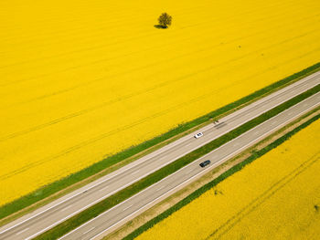 High angle view of agricultural field