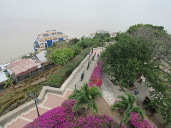 High angle view of buildings and trees against sky