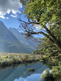 Scenic view of lake by trees against sky