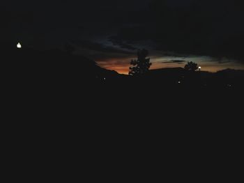 Silhouette trees against sky at sunset