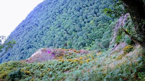 Scenic view of mountain against sky