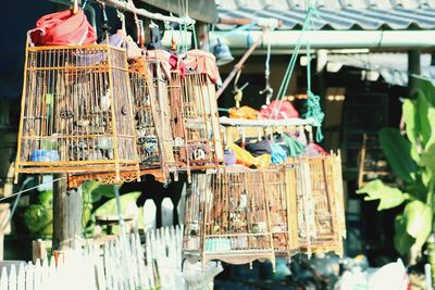 Bird cages hanging outside house