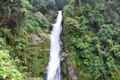 Scenic view of waterfall in forest