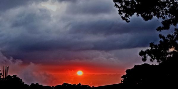 Low angle view of silhouette trees against dramatic sky