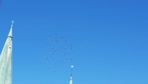 Low angle view of birds flying against blue sky