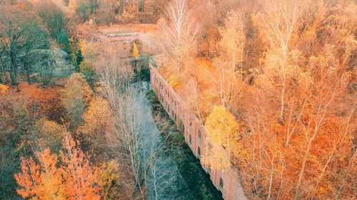 Scenic view of river during autumn