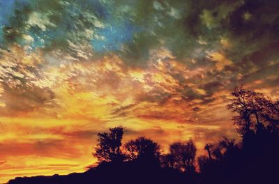 Low angle view of silhouette trees against orange sky