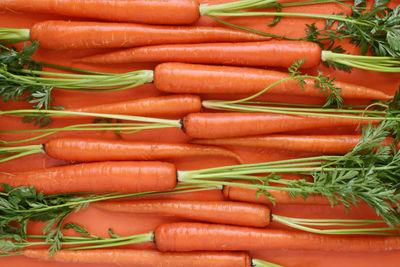 High angle view of vegetables