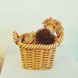 High angle view of ice cream in basket on table against white background
