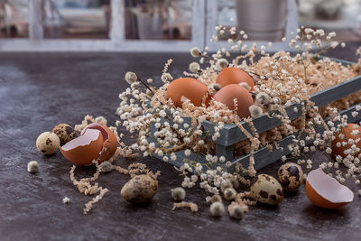 Close-up of shells on table