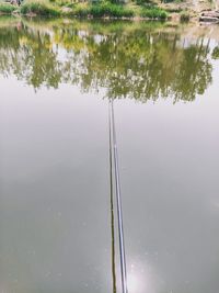 Reflection of trees in lake