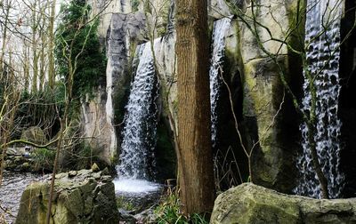 Scenic view of waterfall in forest