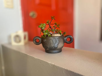 Close-up of potted plant on table