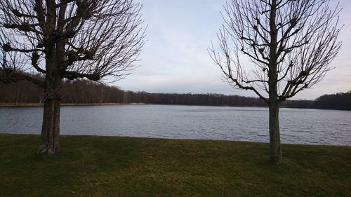 Bare tree by lake against sky