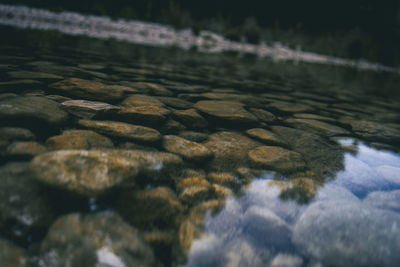 Surface level of rocks in sea