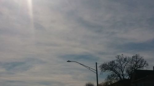 Low angle view of tree against sky