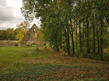 Trees growing on field against sky