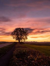 Scenic view of field against sky during sunset