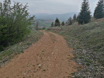 Dirt road amidst plants and trees against sky