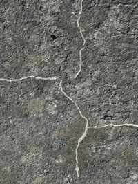 Full frame shot of abstract background