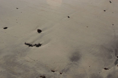 High angle view of sand dune in desert