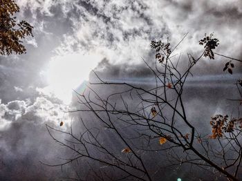 Bare trees against cloudy sky