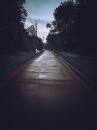 Empty road along trees