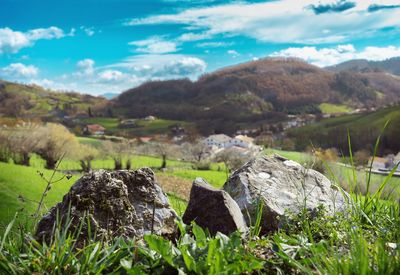 Scenic view of landscape against sky